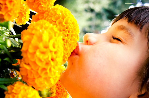 Ben, öperken koklamayı, senden öğrendim!