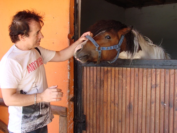 Düzce’deki At Çiftliği