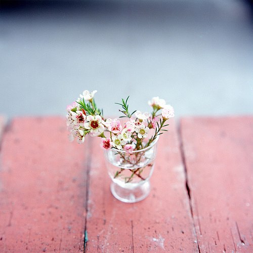 Bir gün…Sanırım ki pek çok kimse…Öyle mutlu olacak ki yaşadığı hastalıklara…