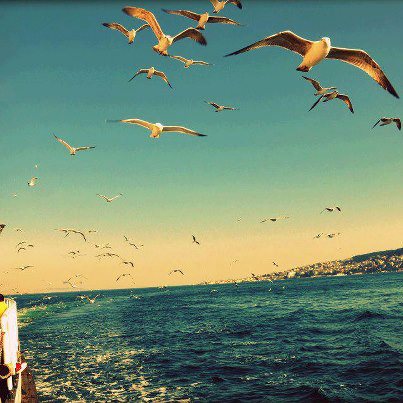 Derin bir nefes almak sesini duymak…