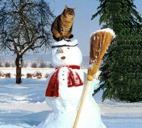 Kardan adam ve… :)