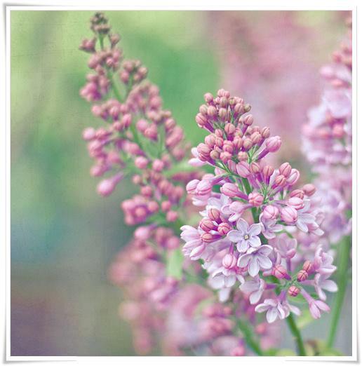 Bulanmış bir suyun durulması gibi bunalmış insanlar da durulur bir gün…