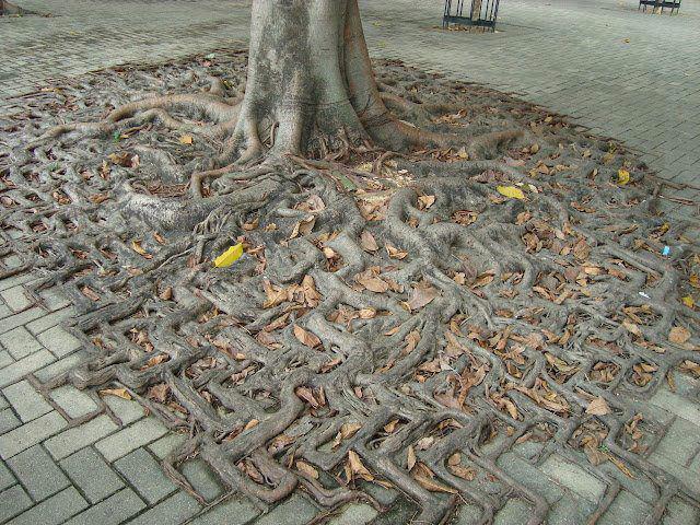Hüseyin Dedem ve onun gibi sayısız dedelerimiz, bu toprakların gerçek kahramanlarıdırlar..Her biri de birer madalya olarak göğsümüzde takılıdırlar….