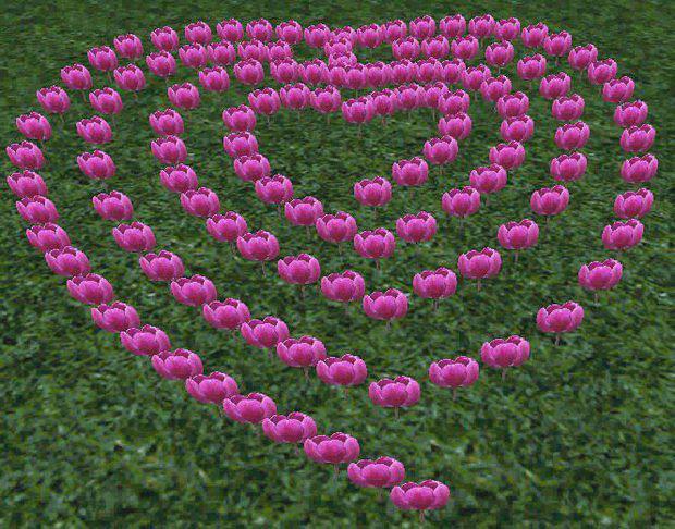 Öğrendim ki; Nelere sahip olduğun değil, kiminle olduğun önemli…