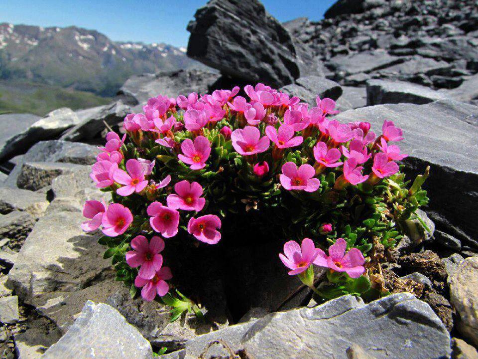 Dert ne, biliyor musun? Dünyanın, bir “sıkıntılar mekânı” olduğunu kabullenememek!